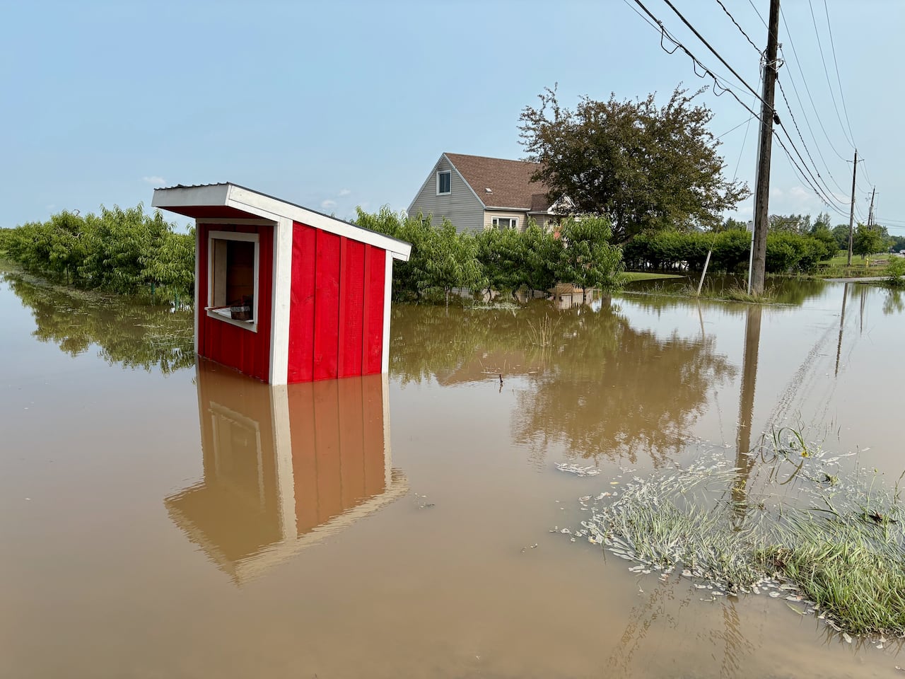 A shed surrounded by water.