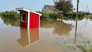 ‘Water everywhere:’ Flooding impacts homes, farms and vineyards in Niagara after overnight rainstorm