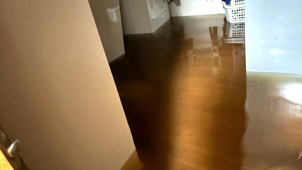 St. Catharines, Ont., declares state of emergency after back-to-back floods