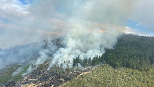 Okanagan Lake wildfire more than doubles in size, forcing thousands to evacuate