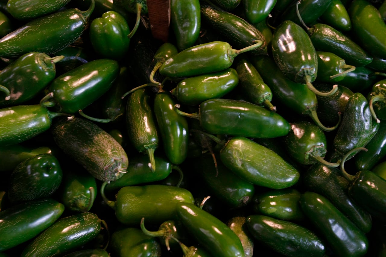 A pile of green jalapeno peppers.