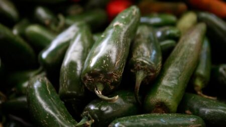 Jalapeno-linked salmonella outbreak hits 27 U.S. states. What’s the risk in Canada?