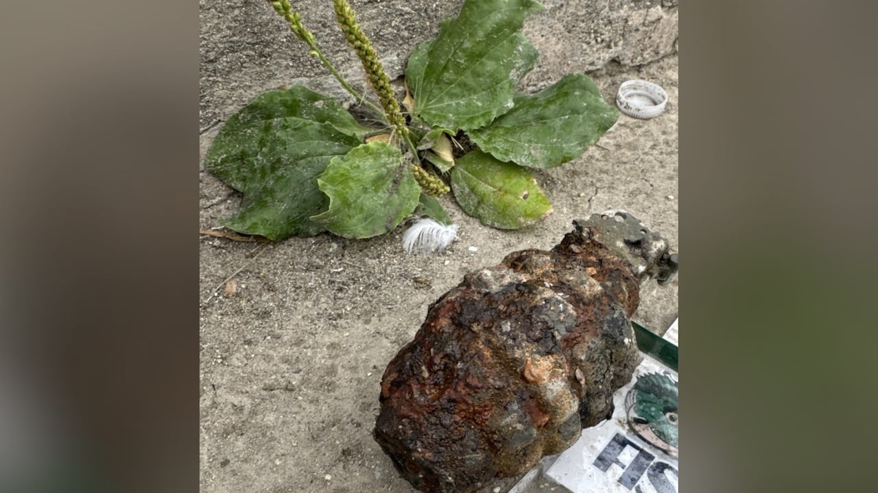 What appears to be a weathered hand grenade laying on the ground.