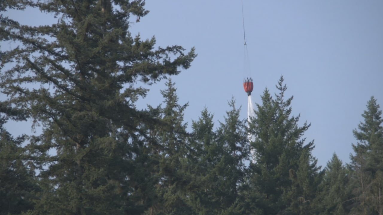 A water bucket drop is pictured above the Belcarra Park wildfire.