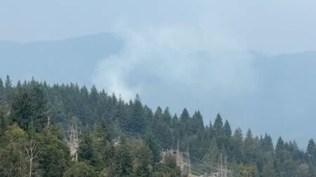 Wildfire breaks out in Metro Vancouver’s Belcarra Regional Park