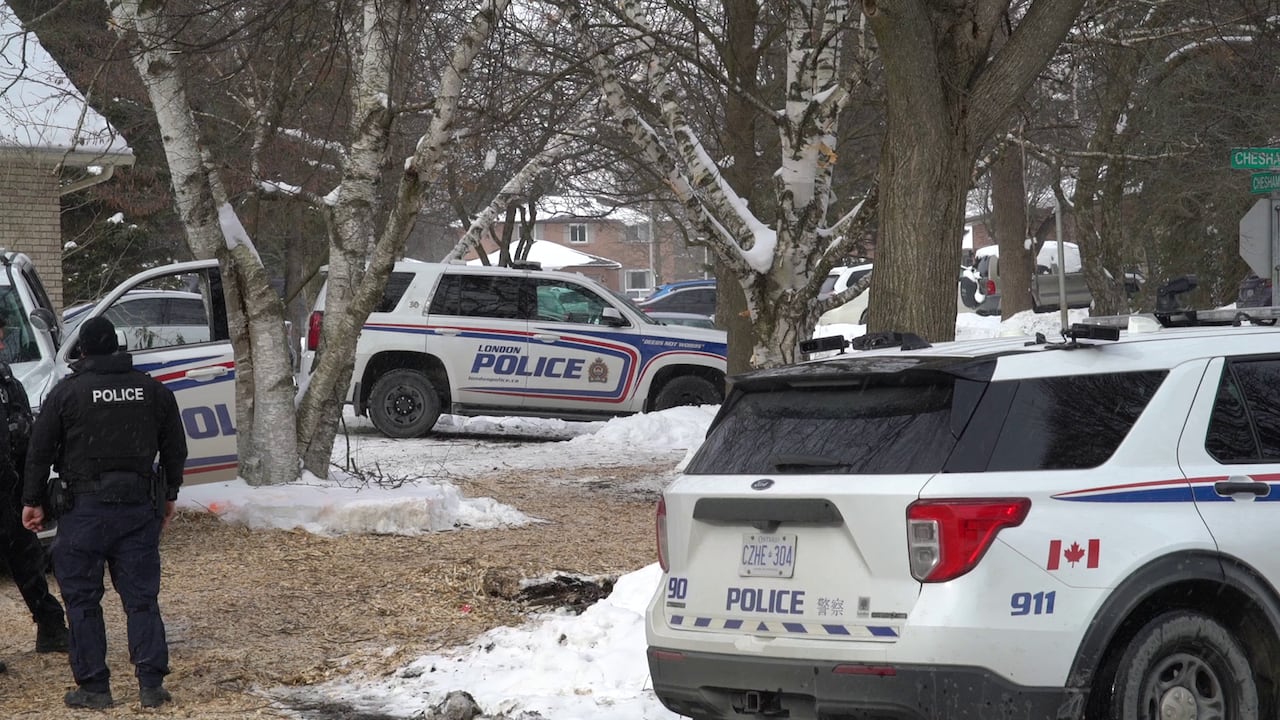 Police officers stand amid several patrol cars, parked haphazardly in a residential neighbourhood