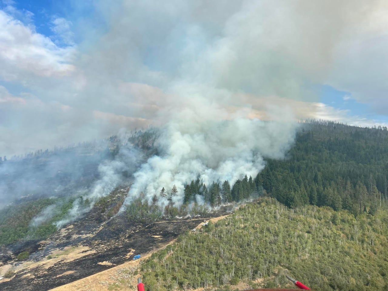 A massive fire burns through a forested area, leaving a charred path of destruction.