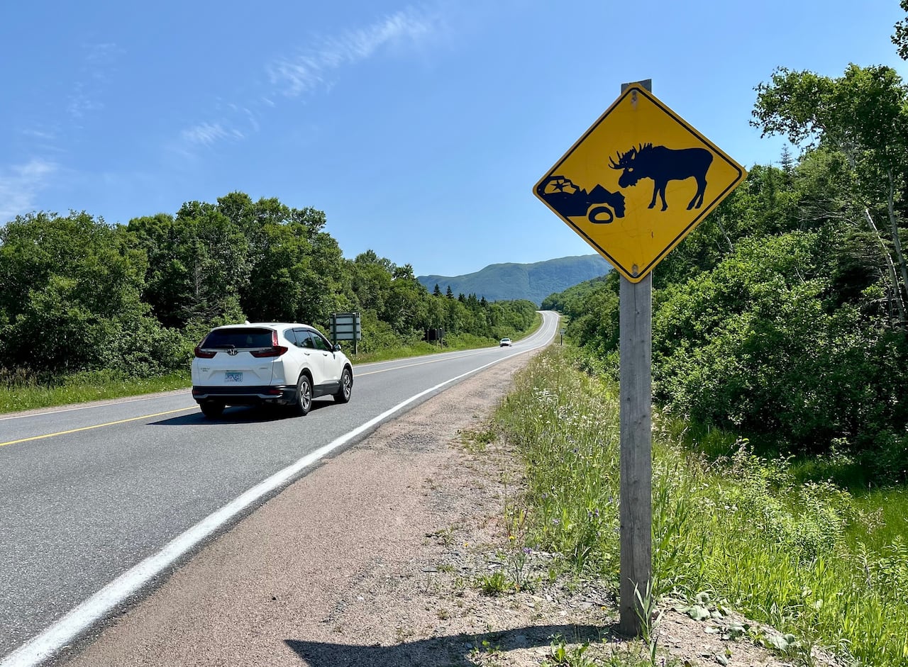 A road with a yellow sign warning of moose