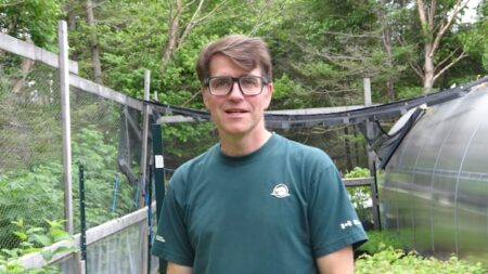 Moose ate parts of Gros Morne National Park’s forests — can 1.25M trees save them?