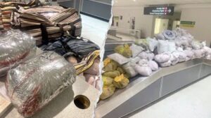 CBP officers seize nearly 850 pounds of khat packed into 12 suitcases after flight from London