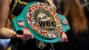 Mikaela Mayer Vs. Chantelle Cameron Full Card, Date, Time and How to Watch