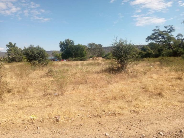 A section of former commercial farmland in Matabeleland North, Zimbabwe, that has remained underused since the redistribution of agricultural land [Calvin Manika/Al Jazeera]