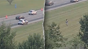 Ohio man fleeing police on foot leaps onto moving car, tries to take control before falling off: Police