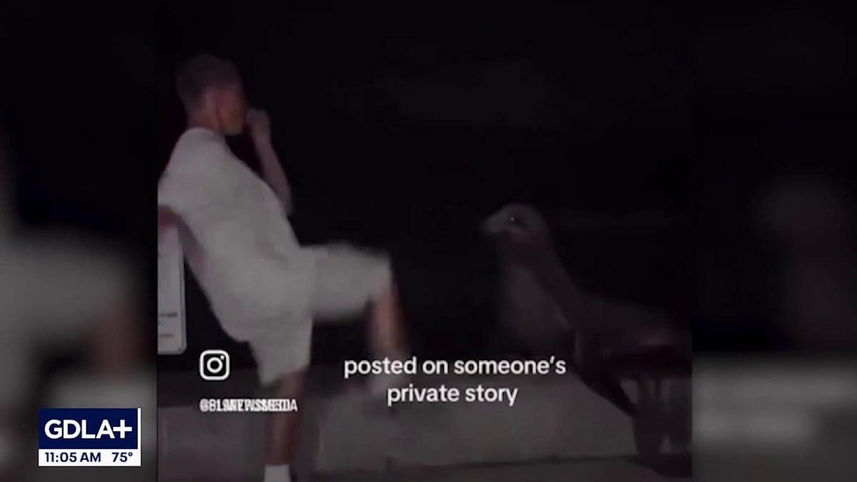Tyler Muehl in video footage