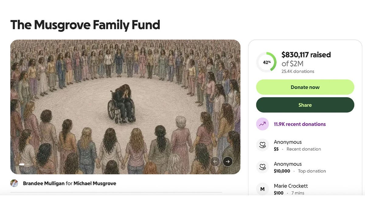 image shows screenshot of gofundme page