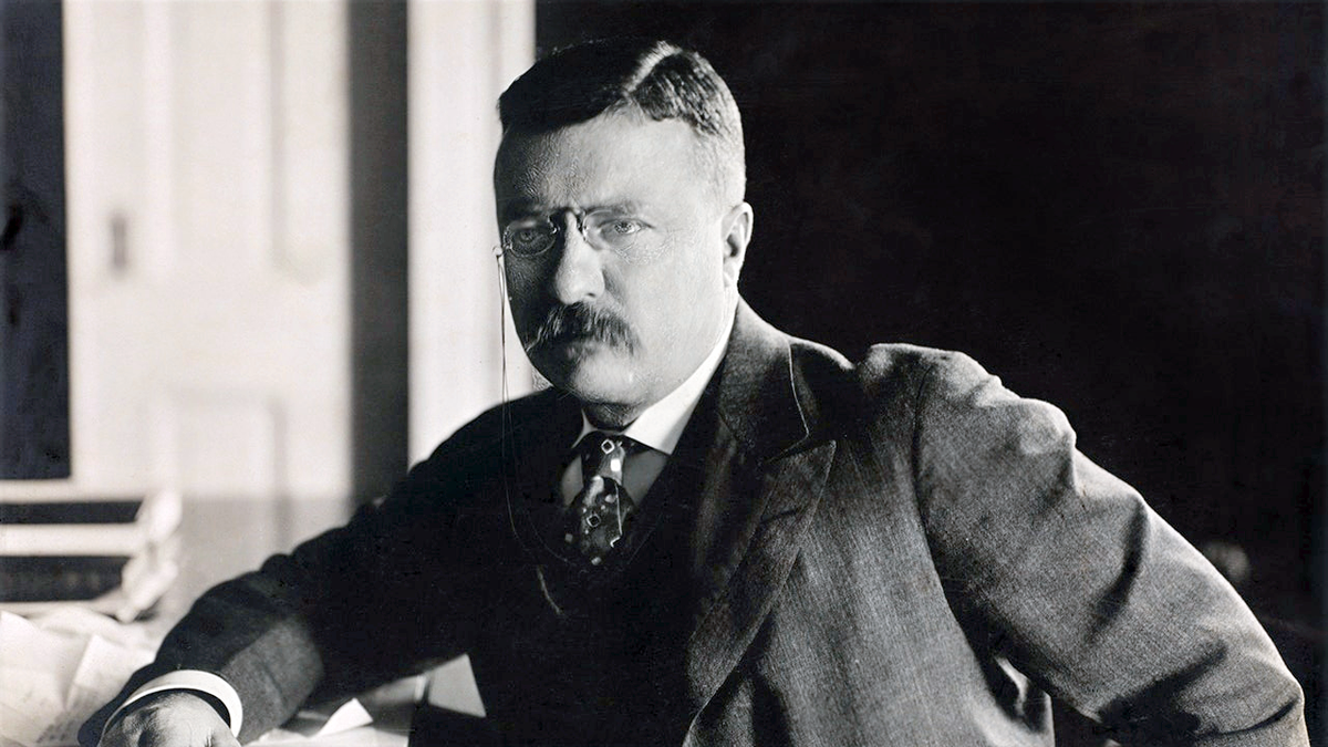 teddy roosevelt at his desk