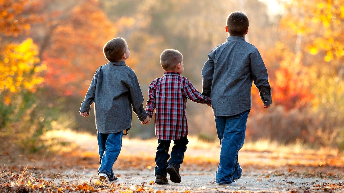 Three brothers walking