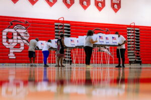 Photos show the Democratic vote in a Michigan race for US Senate