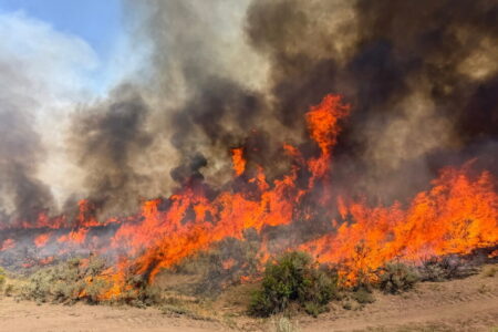 A helicopter crashes by Utah wildfire as Oregon blaze kills worker