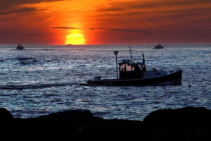 Court considers free speech impact in fishermen lawsuit against aquarium