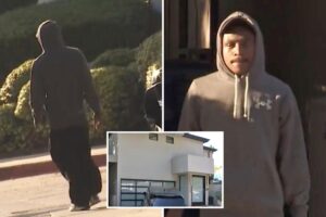 Wild twist as victim of Hollywood Hills home invasion unmasked as squatter