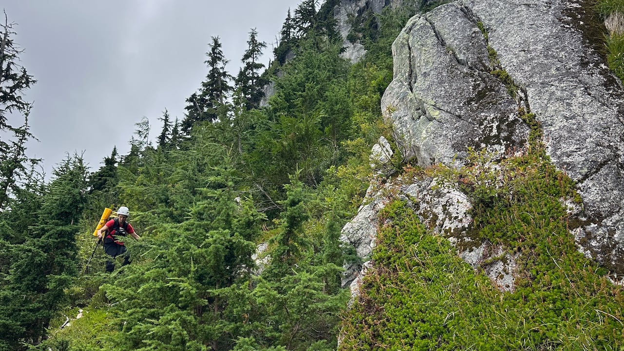 A search and rescue person looking in difficult mountainous terrain.