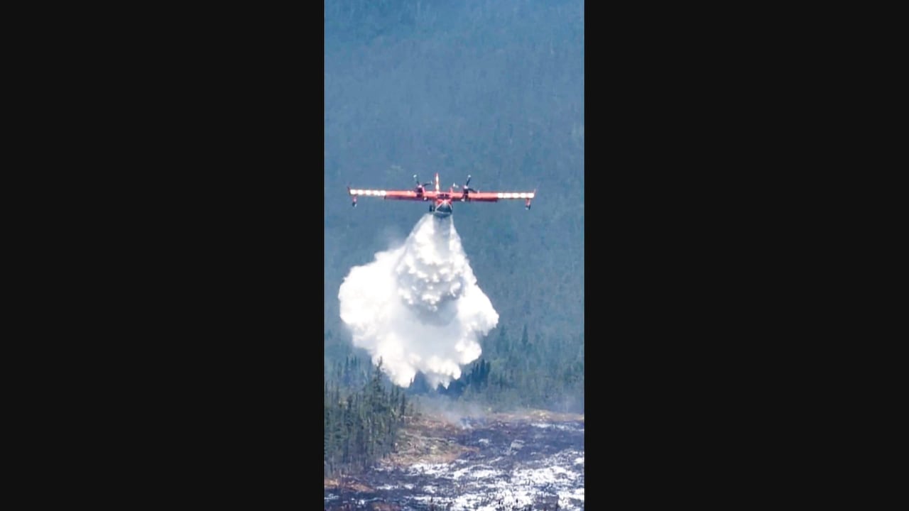 A large dump of water is seen falling from the base of a place as it flies over a wooded area.