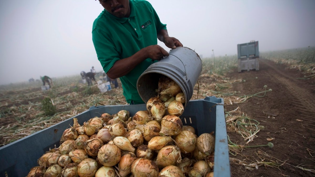 Mexican laborers in Texas