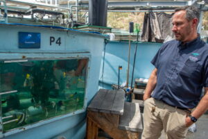 How the Aquarium of the Pacific scrambled to save hundreds of sea creatures